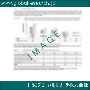 グローバルリサーチ調査資料のイメージ